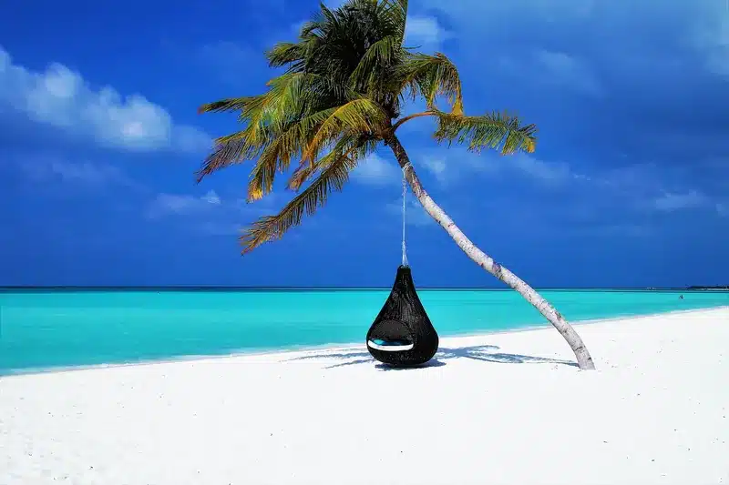 Image d'un hamac accroché sur un cocotier sur une plage des îles.